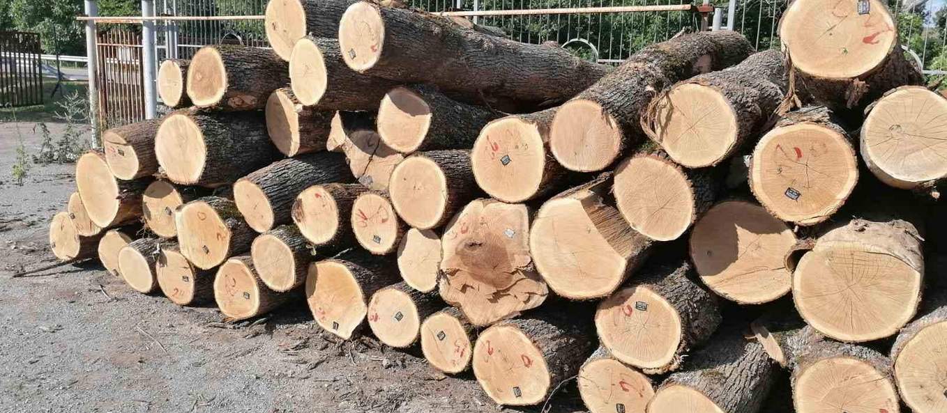 Дърва за огрев от “Паламара”