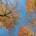 По-хладно време във вторник