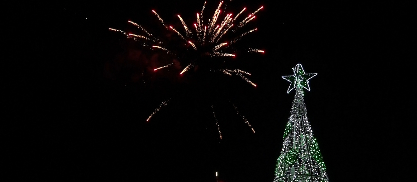 Празнично веселие в новогодишната нощ