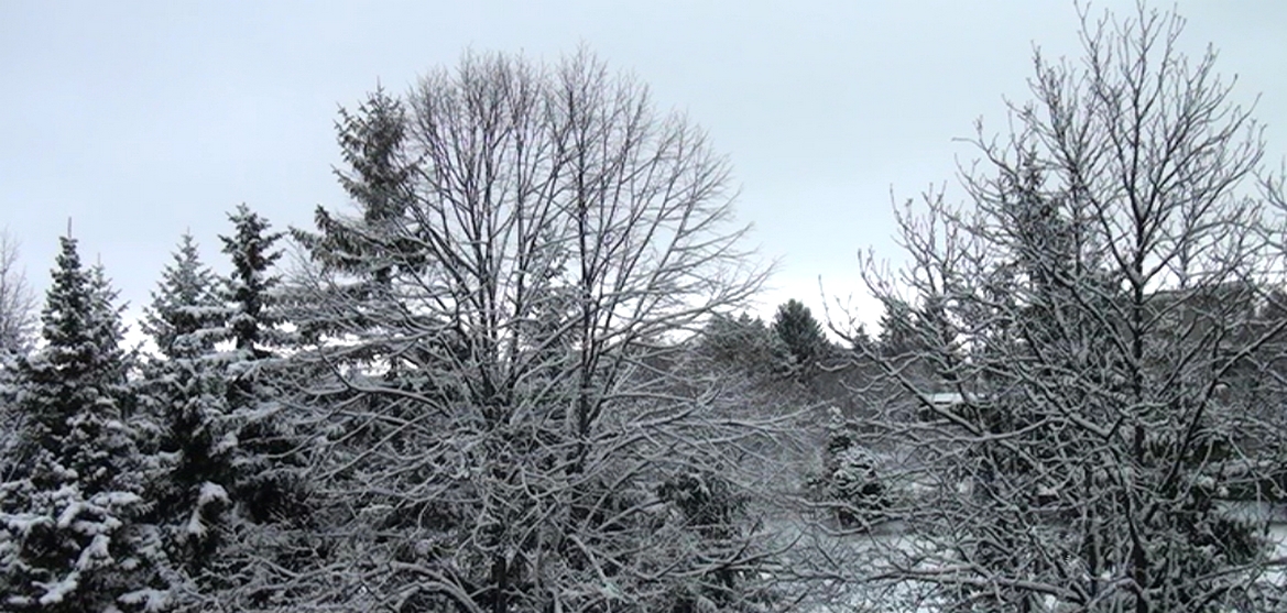 Мразовито време в началото на седмицата