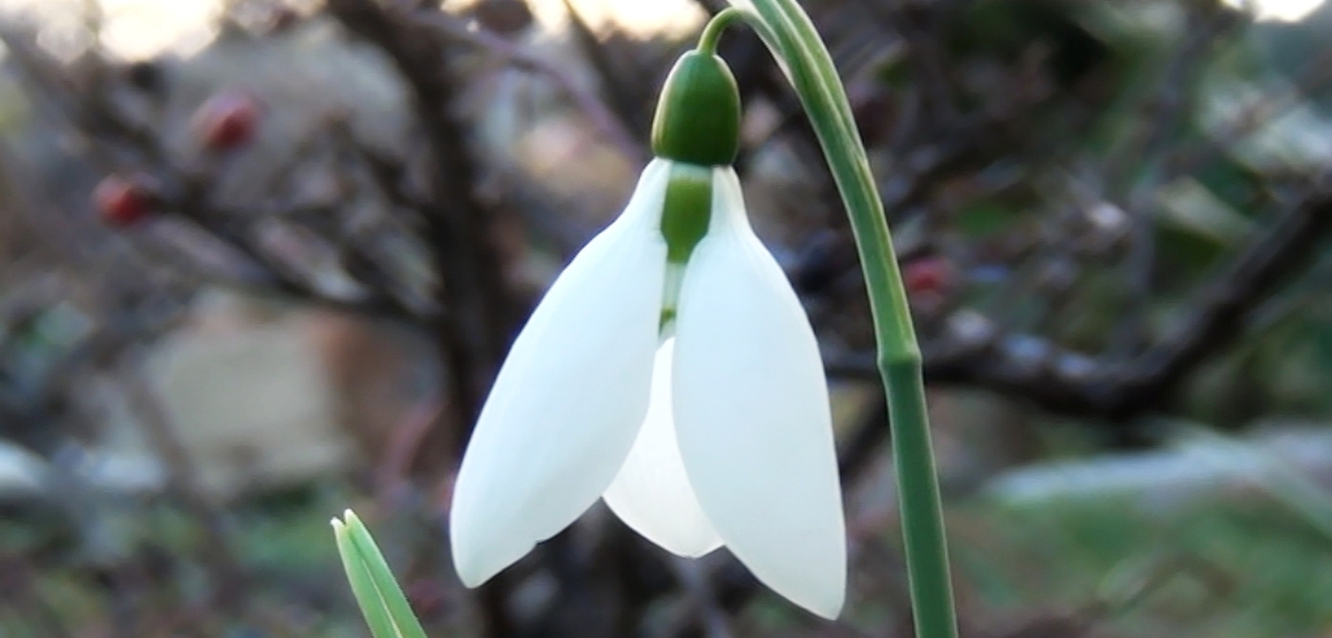Слънчев и топъл понеделник