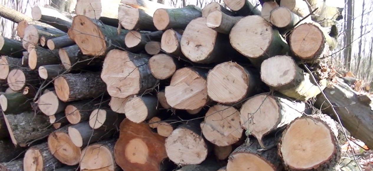 768 проверки в горите