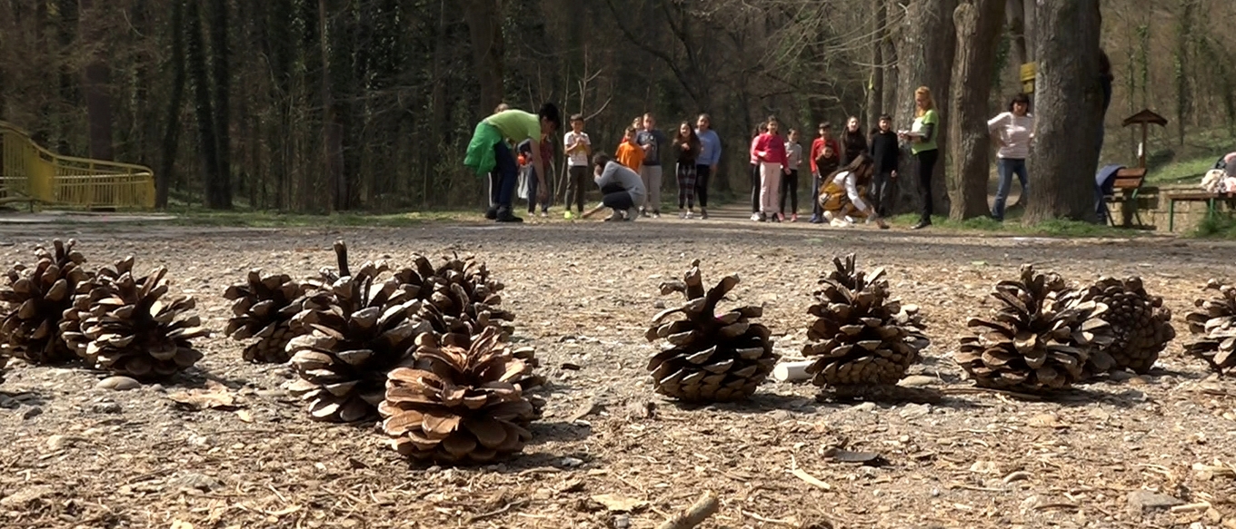 Урок за гората