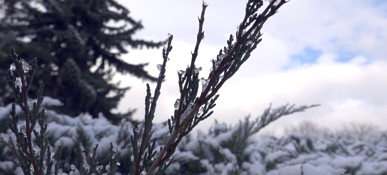 Слаб сняг в първия ден на март