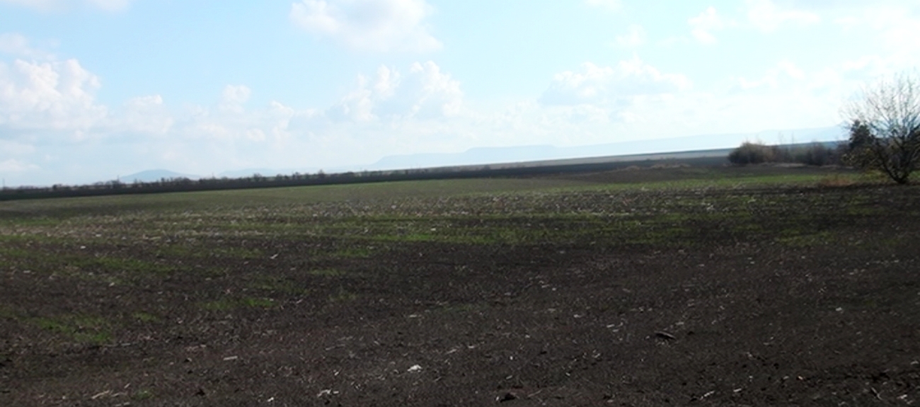 Търг за отдаване под наем на земеделски земи