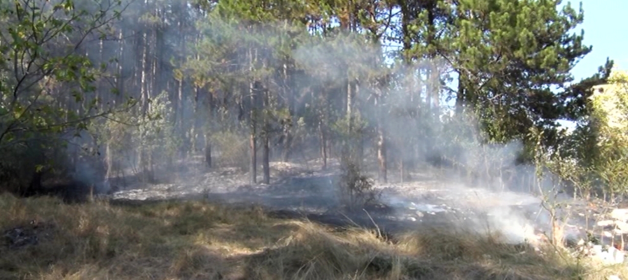 Пожар изпепели 20 декара гори