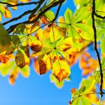 Започва значително захлаждане