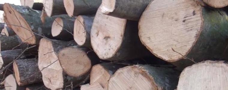 Пак бракониери на дърва за огрев