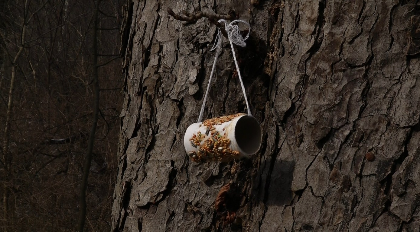 Хранилки за птиците