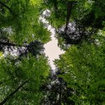 Променливо време в петък