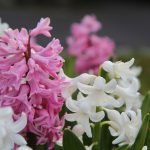 Облачно време с превалявания