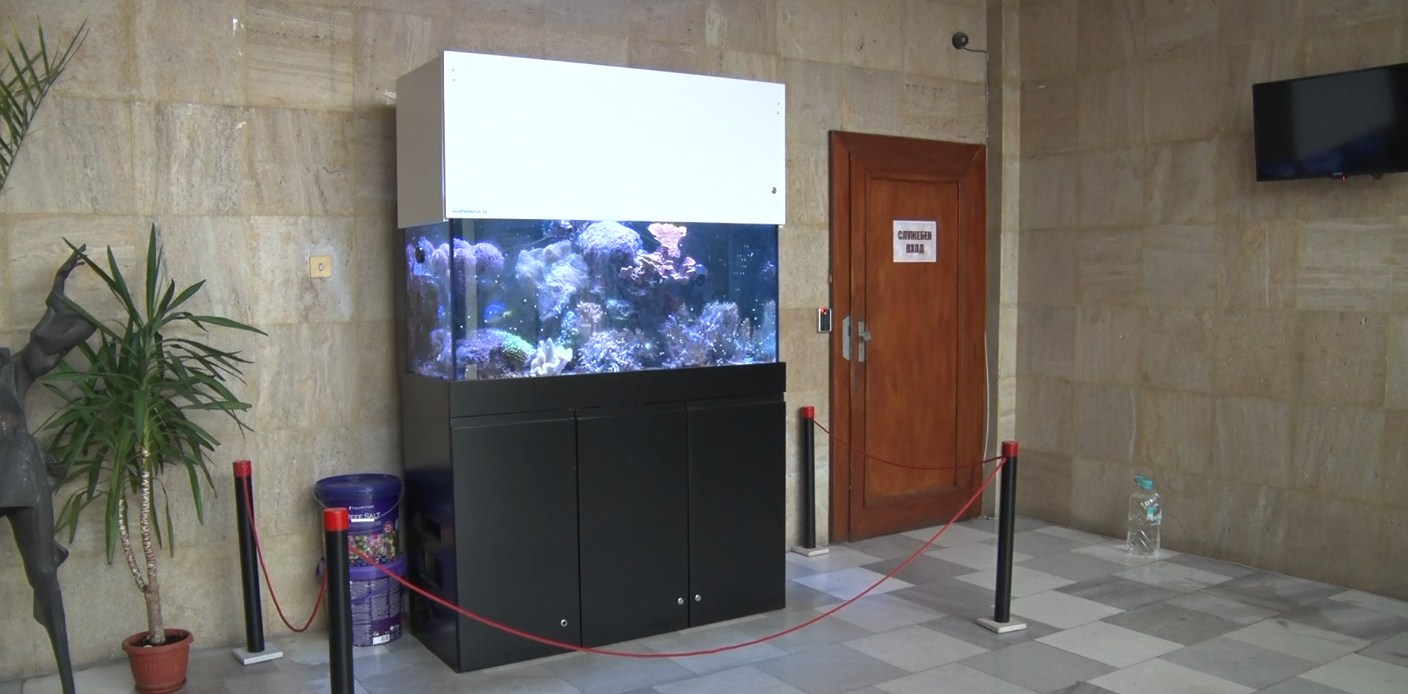 Библиотеката с благотворителна кампания