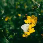 Топло време през почивните дни