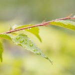 Очакват се превалявания от дъжд