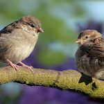 Седмицата започва с температури до 22 градуса