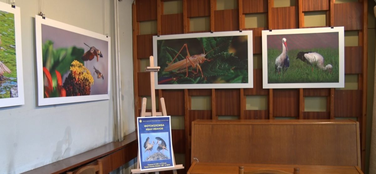 изложба иван иванов