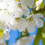 Слънчев петък