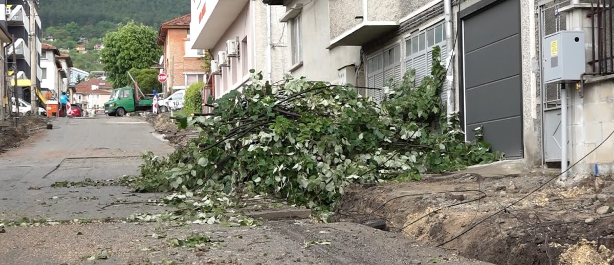 Купуват дробилка за клони и дървесни отпадъци