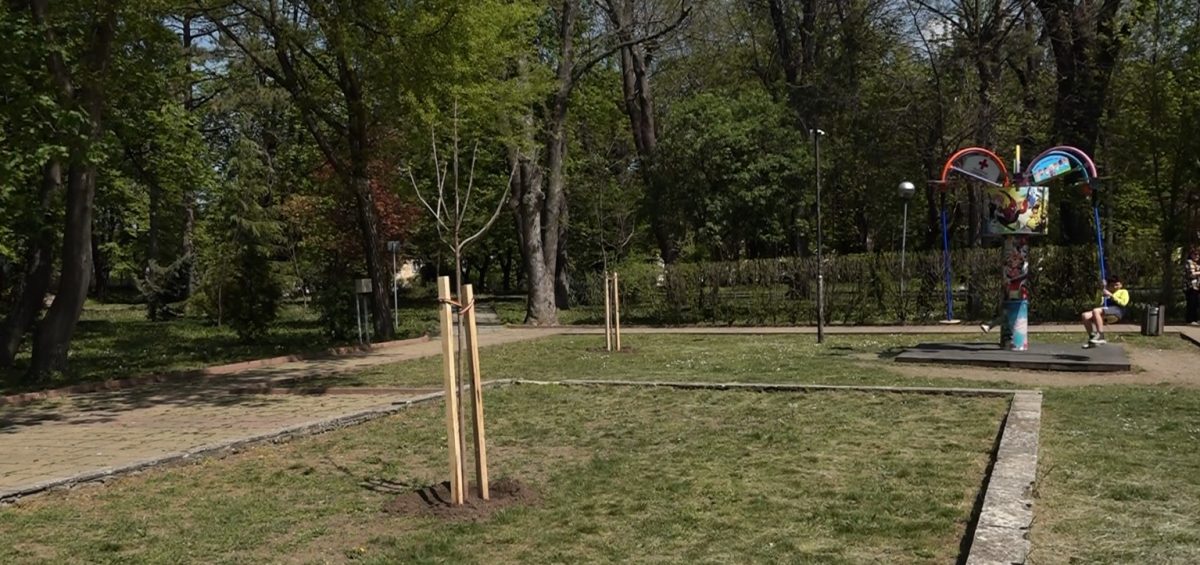 65 нови дръвчета засадиха в Шумен