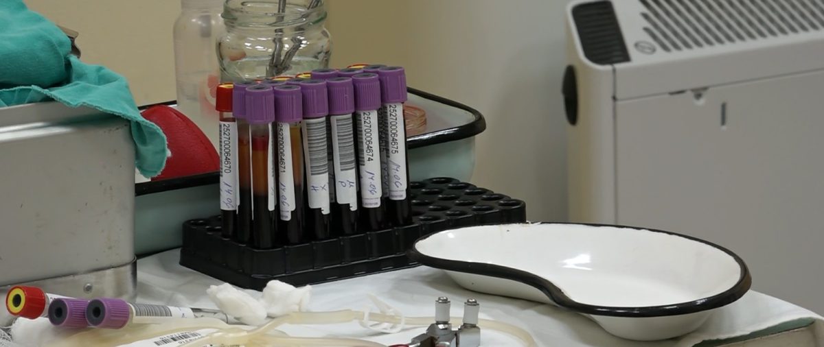 кръводаряване