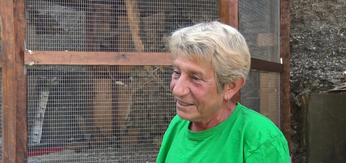 теменужка трайкова