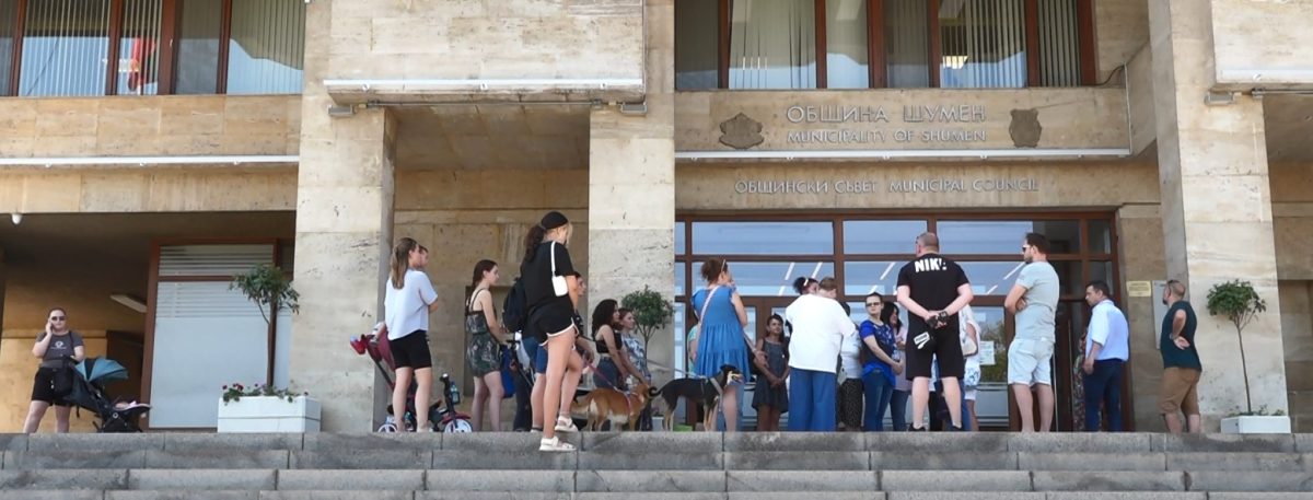 Природозащитници искат промяна в общинската наредба за бездомни животни